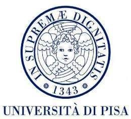 Universidad de Pisa